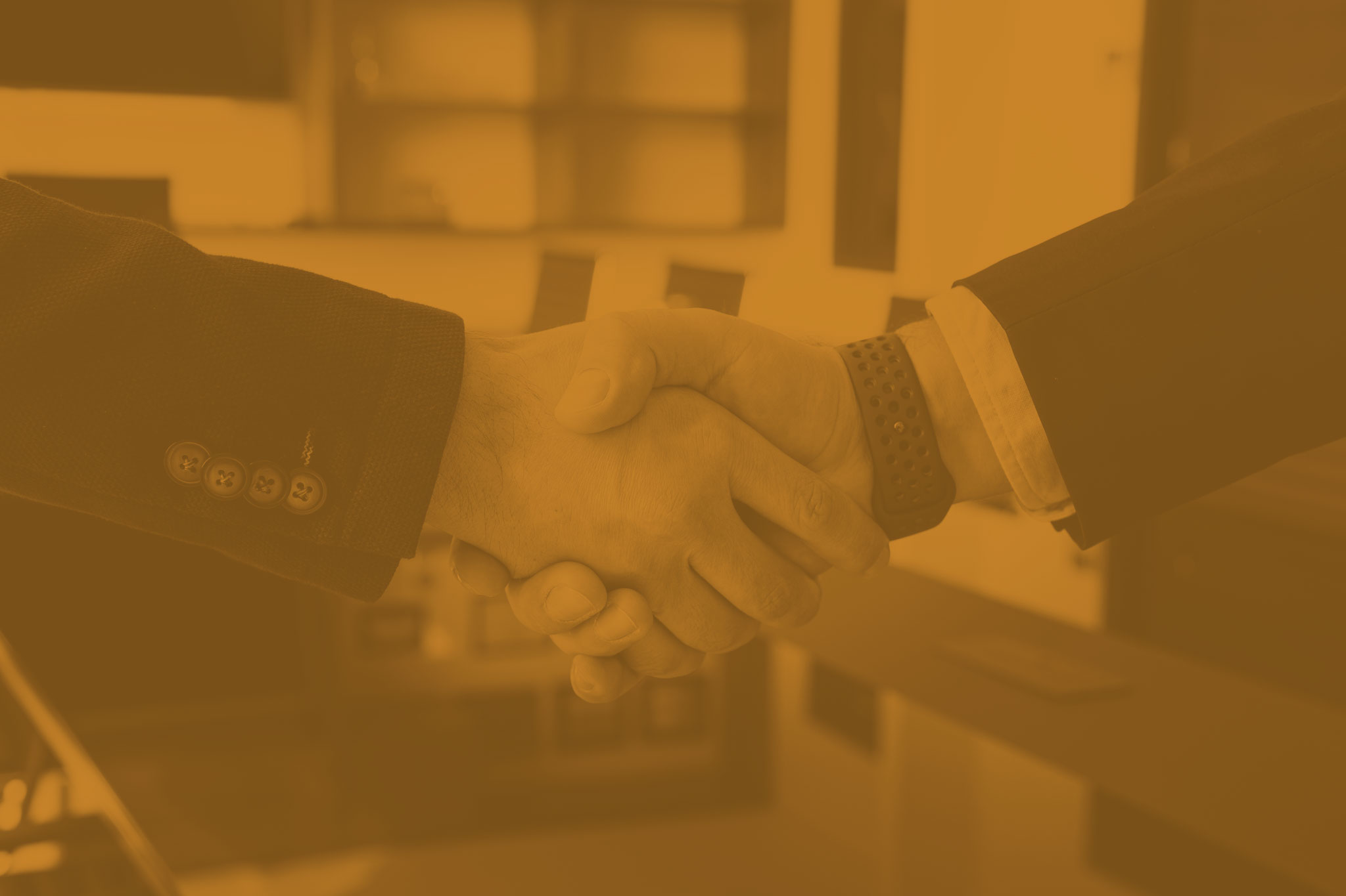 alianza prmotoria seguros